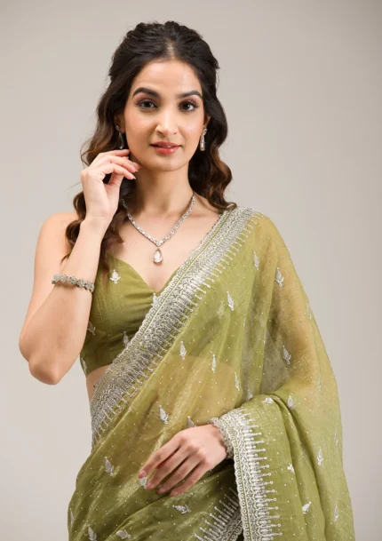 Mehendi Zariwork Tissue Saree